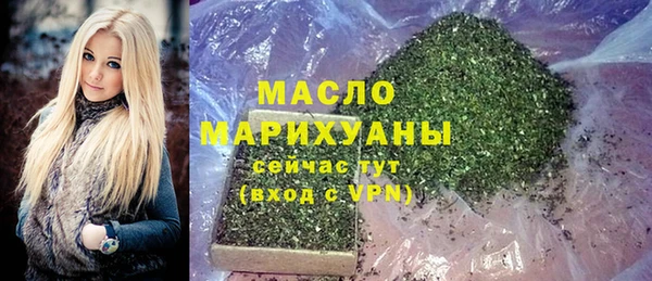 амф Верхний Тагил